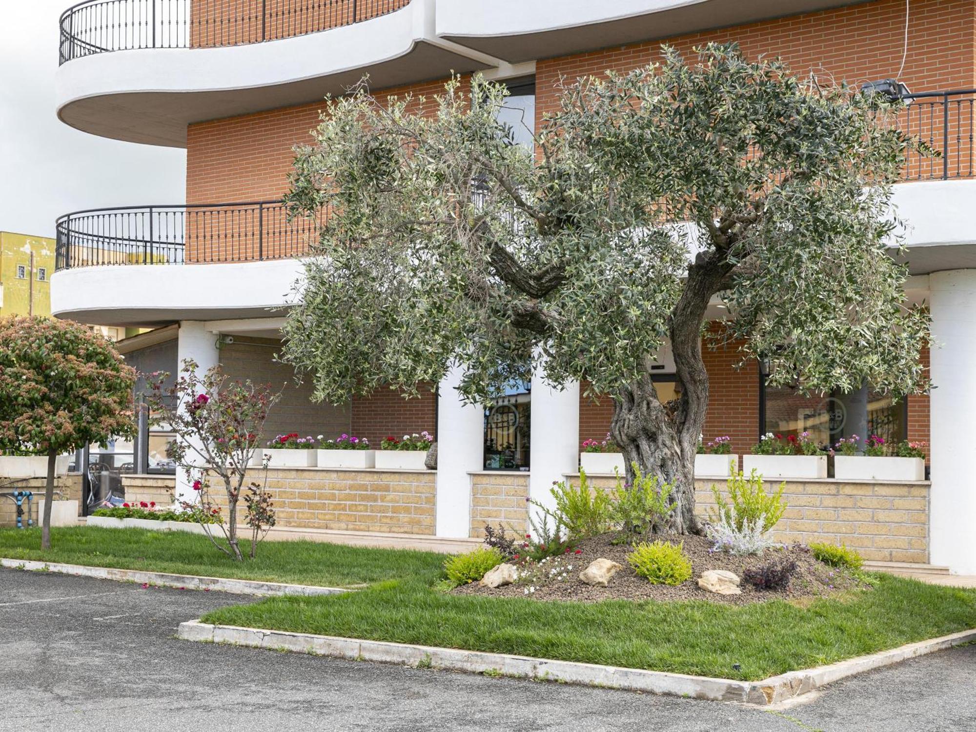 B&B Hotel Pomezia Cortese Экстерьер фото